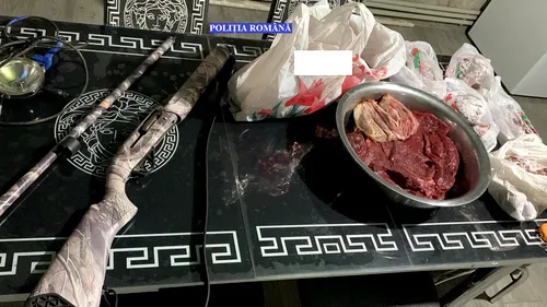 FOTO | Trei brăileni au ucis un cerb carpatin pentru friptură. Polițiștii au găsit carnea tranșată în frigiderele acestora de acasă