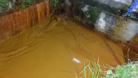 Râurile României, poluate cu metale grele. Anunțul care dă FIORI făcut de Apele Române