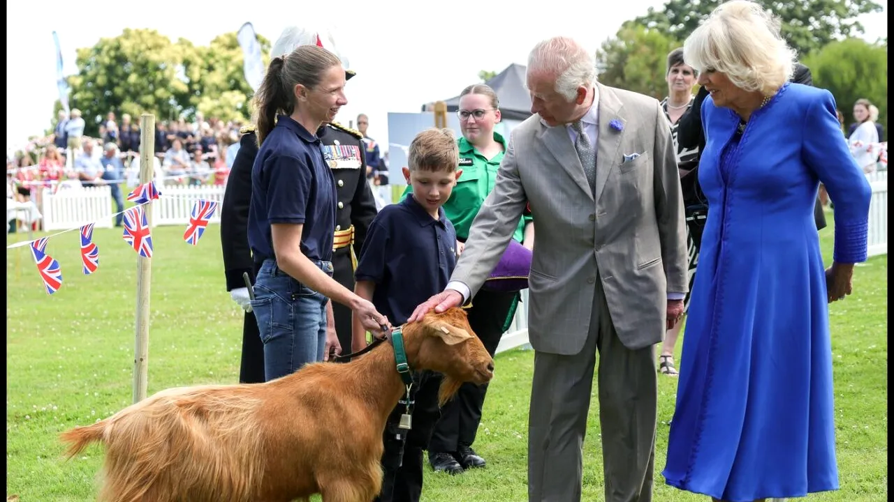 Animalul domestic dintr-o specie rară cu o istorie impresionantă, decorat cu titlul REGAL britanic de regele Charles și regina Camilla