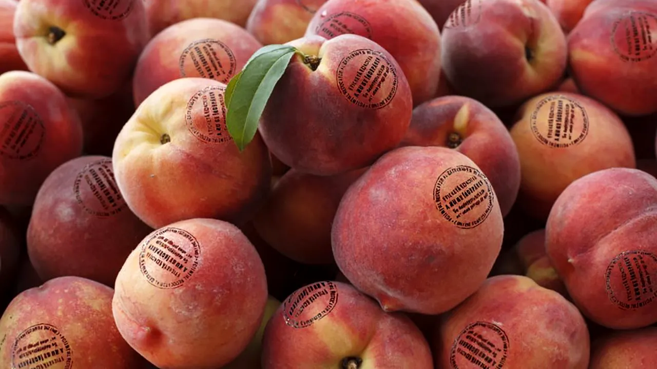 Inventatorii bio-etichetei antimicrobiene vor să revoluționeze piața igienizării fructelor și legumelor, în contextul COVID-19