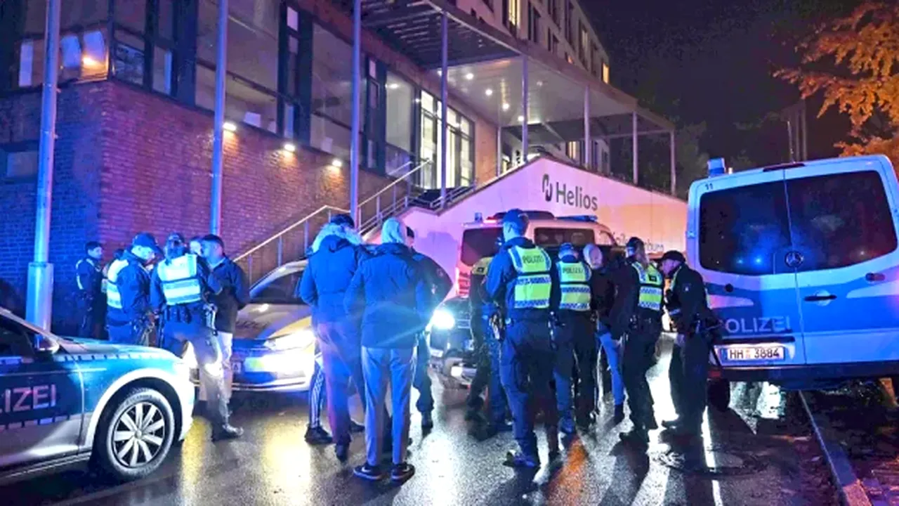 O româncă de 18 ani a RĂPIT un bebeluș dintr-un spital din Hamburg, după ce copilul ei a murit. Operațiune de amploare a poliției germane