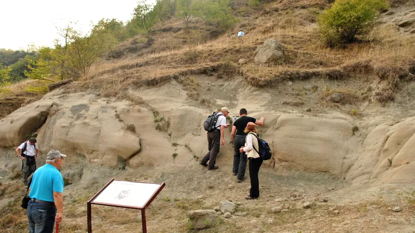 Geoparcul Dinozaurilor din Țara Hațegului, revalidat pentru încă patru ani în Rețeaua UNESCO