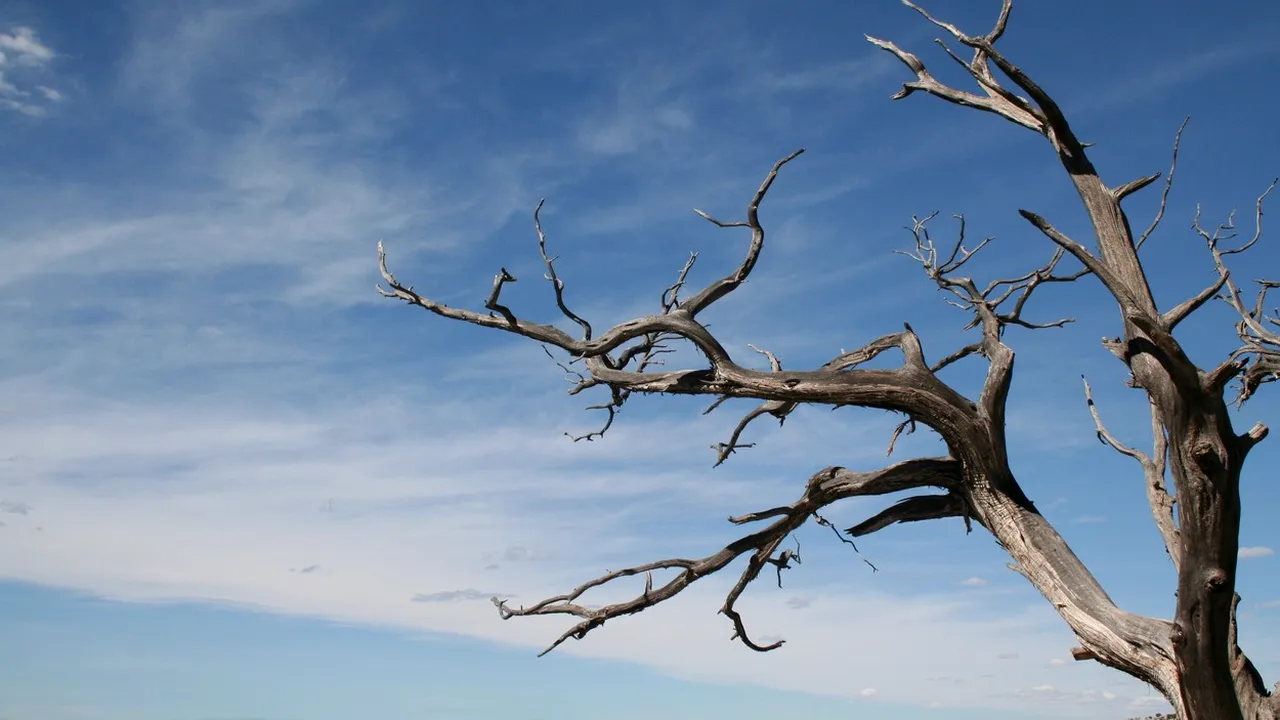 Seceta în Europa și scenariile pentru următorii 100 de ani