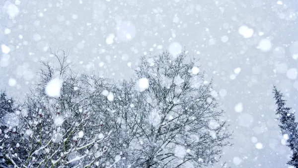 A fost activat centrul de urgență, din cauza vremii severe din București. Ce situații de risc au apărut