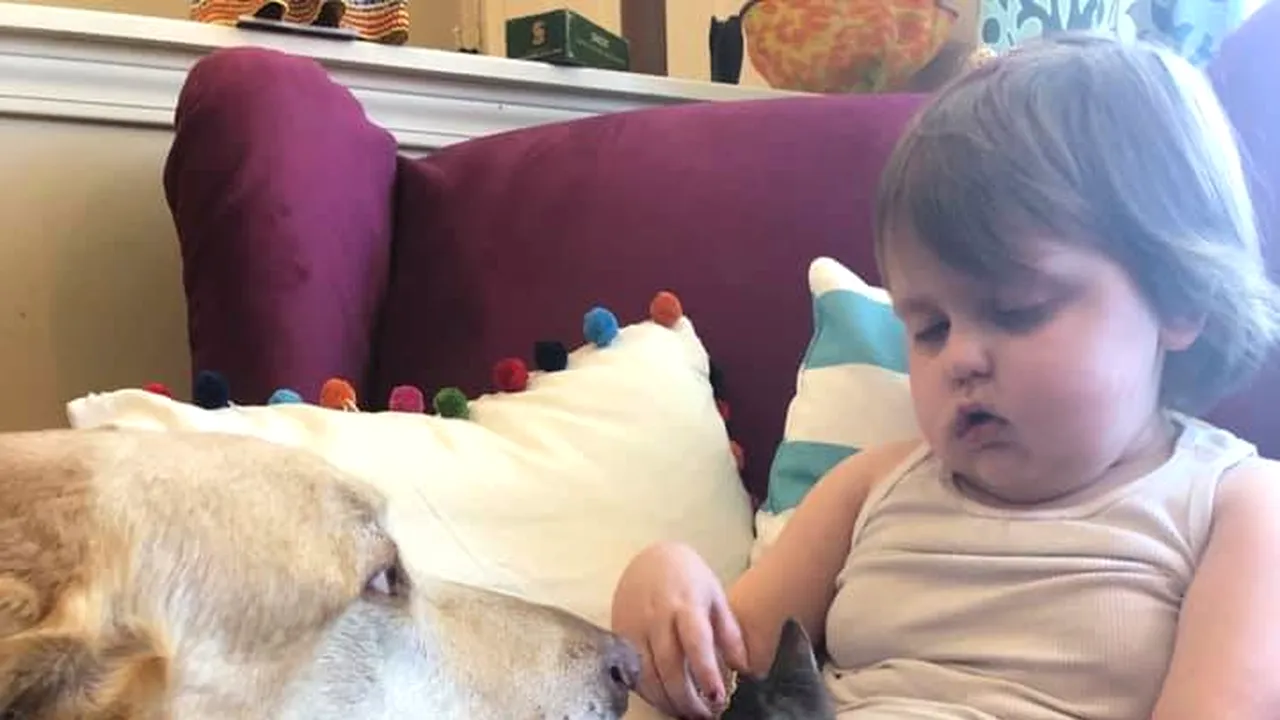 O copilă bolnavă de cancer în stadiu terminal a primit cel mai frumos cadou. Micuța iubește sărbătorile de iarnă, iar oamenii s-au mobilizat. Cum arată Crăciunul în luna mai - VIDEO
