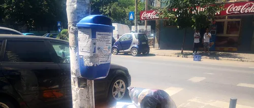 Criza gunoaielor se amplifică și în Sectorul 2 al Capitalei. „Avem locuri în care mojicia şi nesimţirea transformă oraşul în groapă de gunoi”