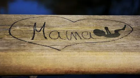 MESAJ. Un spital din România a postat un mesaj anti-avort pe care ulterior l-a șters: „Dragă mamă, sunt în Rai acum”