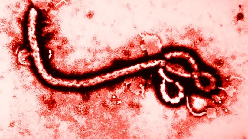 Barack Obama: „Riscul unei epidemii de Ebola acum, în Statele Unite este extrem de scăzut