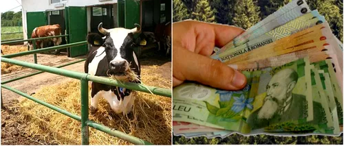Fermierii nu vor mai primi subvenții pentru aceste animale. Ministrul Agriculturii a făcut anunțul