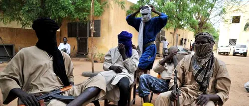Frunzăverde: MApN suportă cheltuielile pentru o intervenție în Mali, bugetul este mult prea mic 
