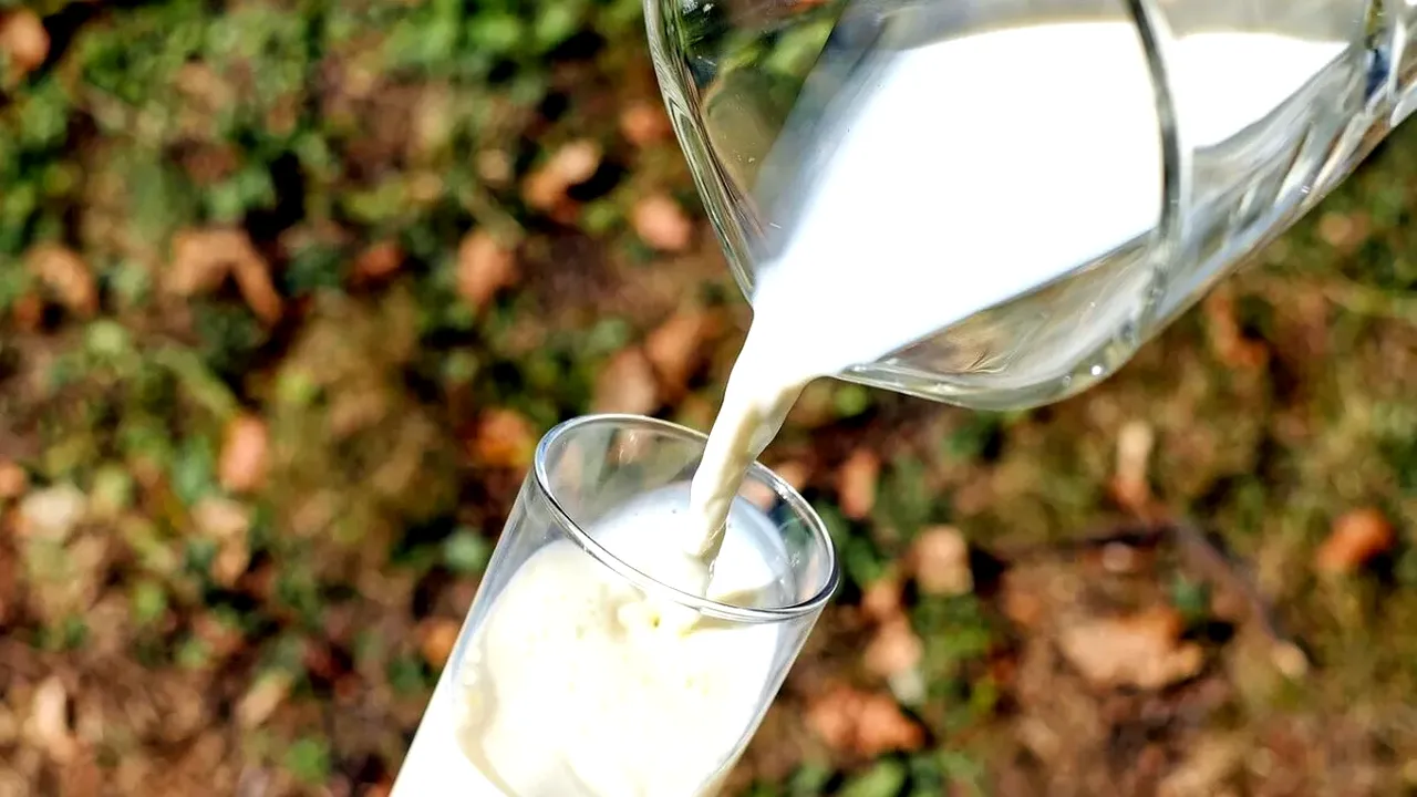 Laptele se va IEFTINI! La ce preț va ajunge alimentul căutat de mii de români