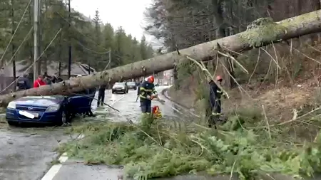 FOTO | Un arbore s-a PRĂBUȘIT peste o mașină, în județul Prahova. Două persoane au fost rănite