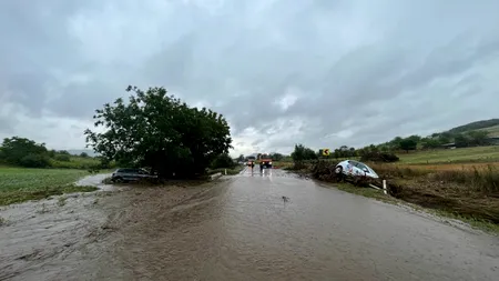 VIDEO | Dezastru făcut de ploile puternice în județul Tulcea. Mașini luate de viituri