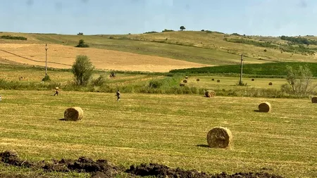 Peisajul local și schimbările climatice