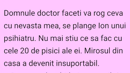 BANCUL ZILEI | Ion și cele 20 de pisici ale soției