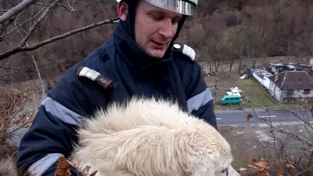IMAGINI EMOȚIONANTE. Cum a reacționat un cățel după ce pompierii s-au luptat mai bine de două ore să îl salveze