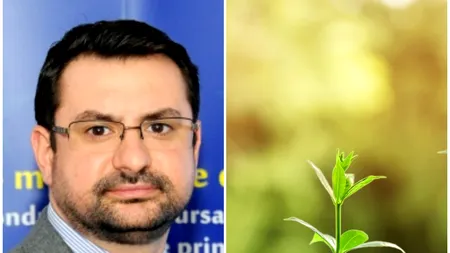 SUTE DE MILIOANE de euro plătite de Comisia Europeană în conturile României. Au fost finanțate proiecte de INVESTIȚII. „Suntem bine poziționați pe drumul pe care îl parcurgem” (Chesnoiu, AFIR)