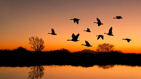 Un lac dispărut de peste un secol a revenit spectaculos, apoi a început să se evapore din nou