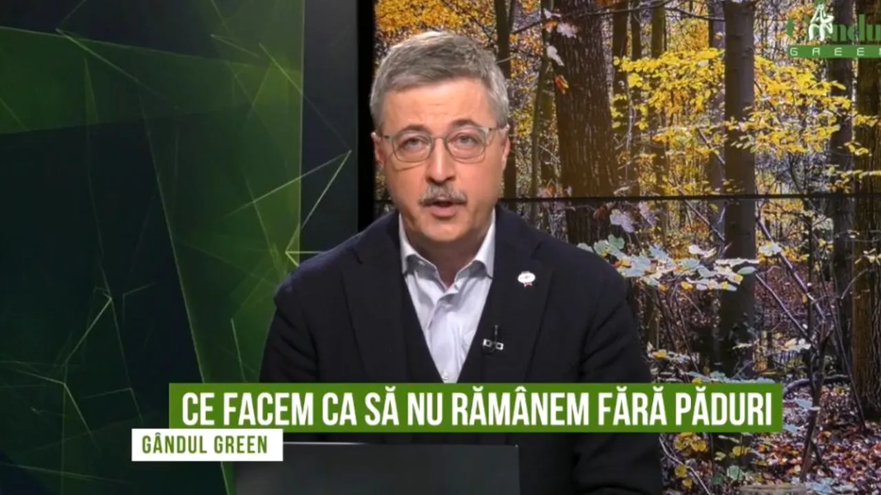 GÂNDUL GREEN. Ce facem ca să nu rămânem fără păduri? Cristian Neagoe, Greenpeace: „11 milioane de români sunt în stare de risc. Mai avem 6% umbră la câmpie. Este o problemă de siguranță națională”/ Ciulacu, ViitorPlus: „Avem un deficit masiv în sudul țării”