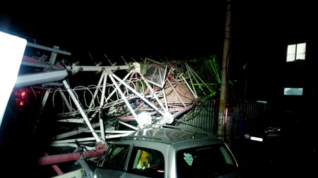 Bilanțul crunt al furtunii din București, anunțat de Nicușor Dan: Sute de copaci au fost rupți