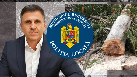 „Toaletare” à la Poliția Locală S2! Directorul general Angheluș a DEFRIȘAT copacii din curte, fără aviz de la Mediu. „A făcut și chetă pentru amendă!”