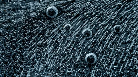 Curtea de Justiţie a UE: Statele membre pot, în anumite condiţii, să interzică cultivarea organismelor modificate genetic