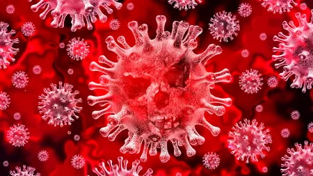 Bilanț coronavirus 17 octombrie. 11.546 de cazuri noi de COVID în România în ultimele 24 de ore