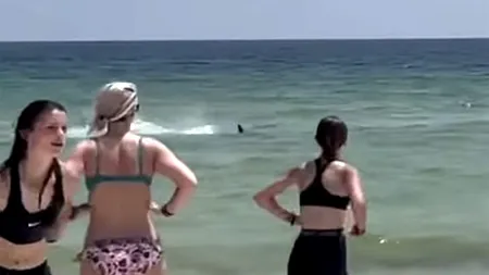 Teroare într-o celebră stațiune, frecventată de mulți turiști români. Un RECHIN a fost filmat foarte aproape de mal