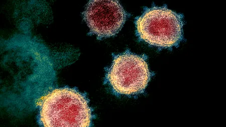 Zeci de oameni au murit din cauza acestui VIRUS rar. Autoritățile au închis școlile