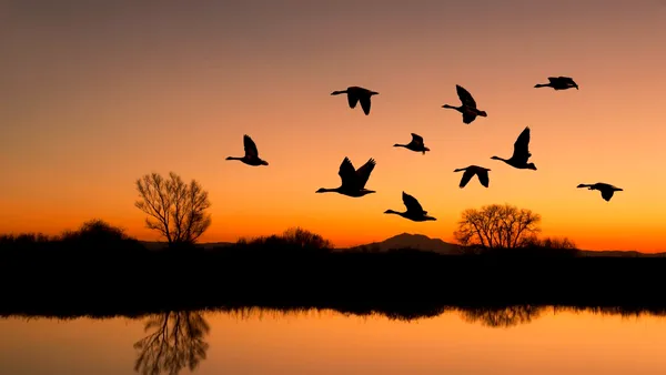 Un lac dispărut de peste un secol a revenit spectaculos, apoi a început să se evapore din nou