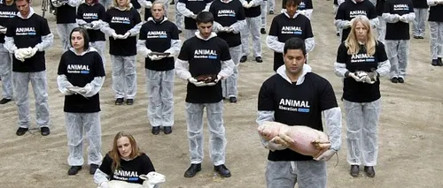 Protestul macabru al unei asociații pentru protecția animalelor