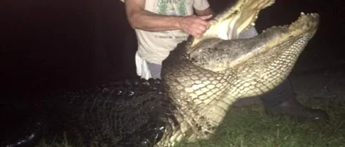 Un american a capturat un aligator uriaș, dar nu a reușit să doboare recordul statului Florida