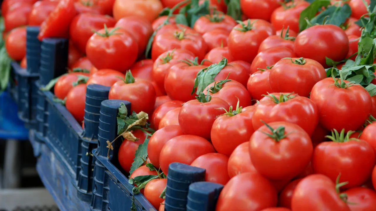 Țara în care un kilogram de ROȘII costă mai mult decât un litru de benzină. Ce a dus la această situație