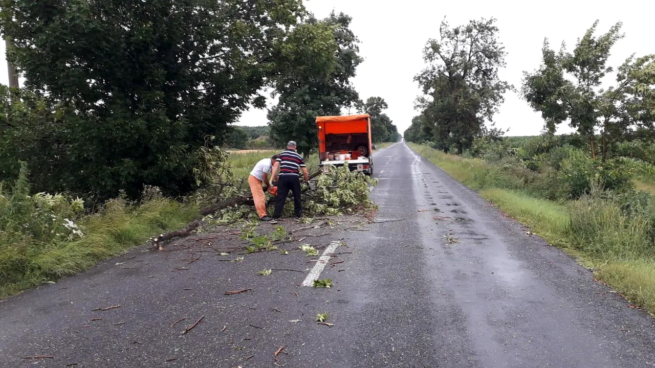 Ravagii în Buzău: Mii de persoane fără curent electric, curți și subsoluri de instituții inundate - FOTO / VIDEO