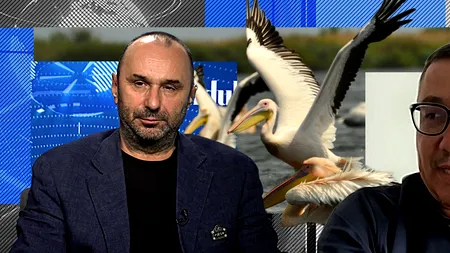 VIDEO | Victor Ponta: „În 2010 am descoperit zona fabuloasă a Deltei Dunării. Am investit un miliard de euro”