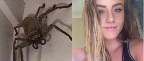 Vizită terifiantă într-o casă din Australia. O tânără a găsit un păianjen uriaș în locuința ei: Nu știu cum să scap de el