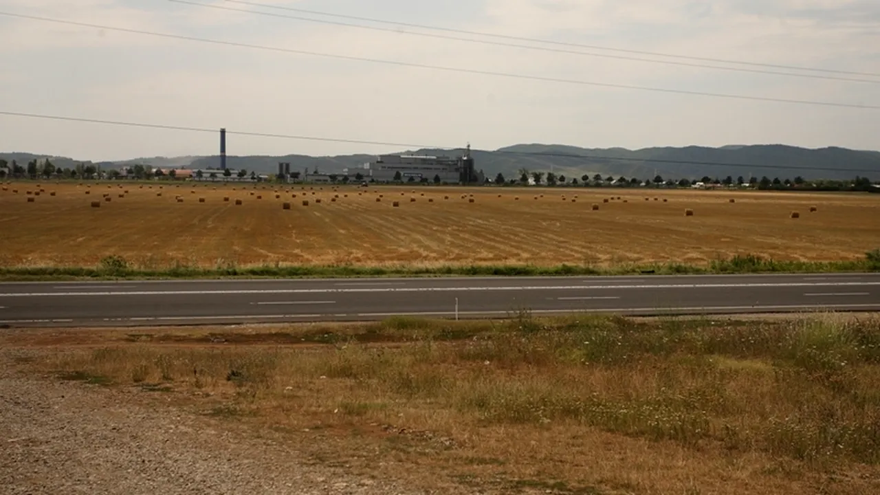 Mii de hectare de teren din Prahova afectate de secetă; contracte pentru irigații, doar pentru 12,5 ha