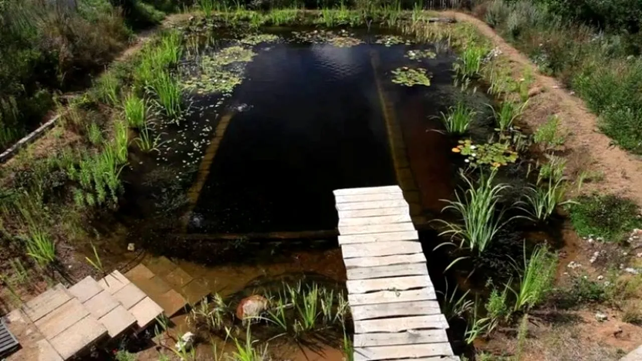 Noul trend în materie de piscine. Cum poți înota chiar în spatele casei tale fără să cheltui o avere