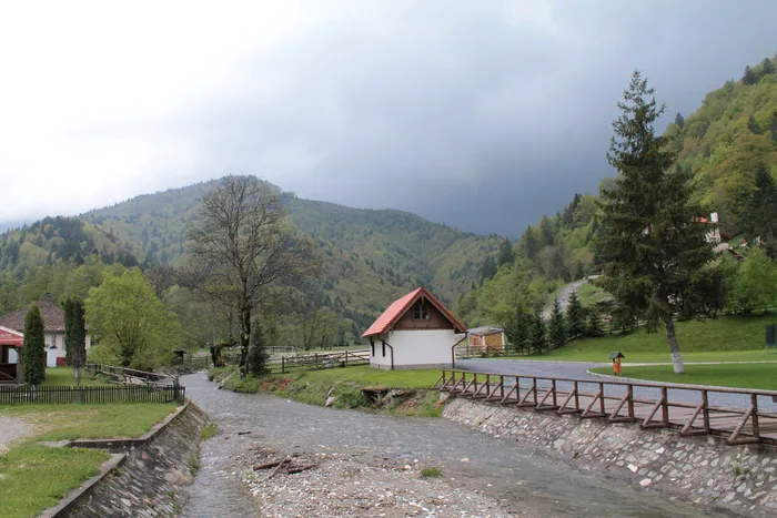 Cum a reacționat o turistă din Pakistan când a vizitat sanctuarul cu 128 de urși de la Zărnești