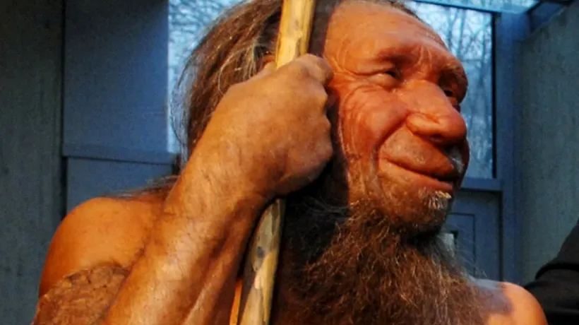Harta genetică a omului de Neanderthal a fost finalizată
