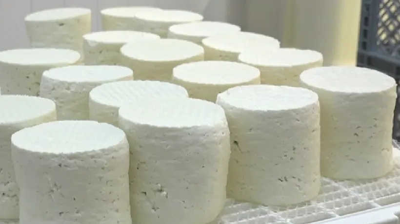 Laptele din care se face cea mai scumpă brânză din lume crește în România! Prețul IREAL cu care se vinde un kilogram