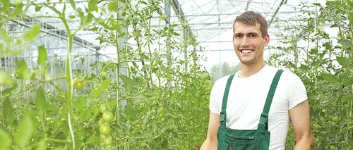 SPRIJIN: Subventie de 4.800 euro/ha pentru legumele cultivate în sere și solarii. APIA plătește sprijinul cuplat în sectorul vegetal pentru Campania 2020