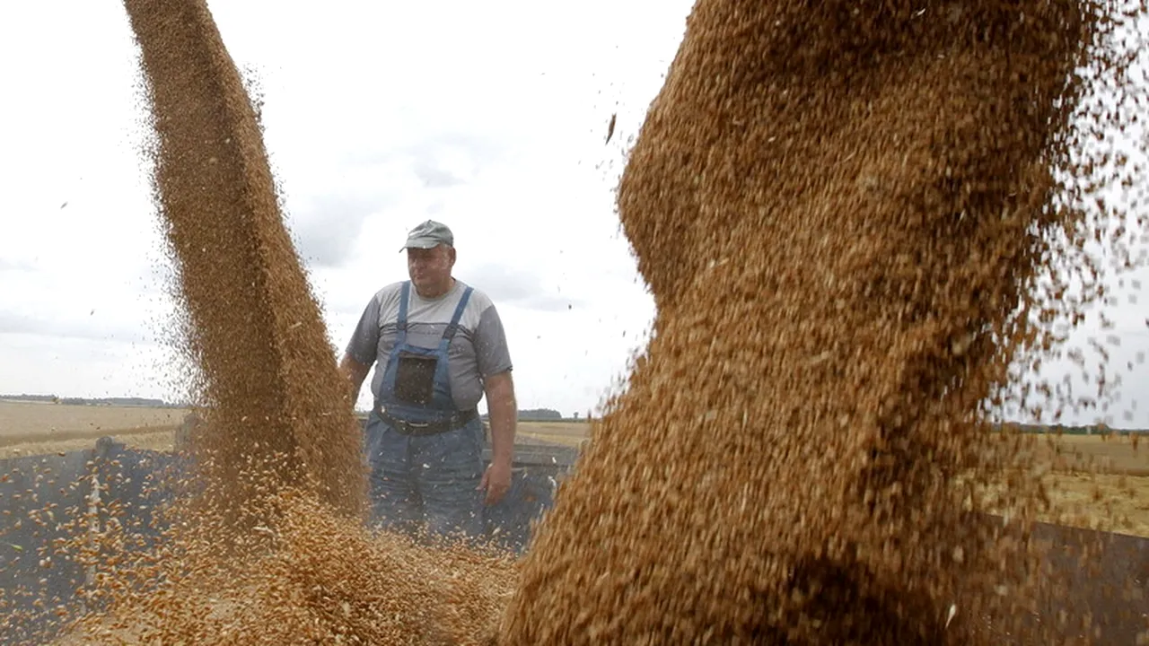 Polițiștii din Timiș au confiscat peste o sută de tone de cereale și au dat amenzi de 5.000 de lei