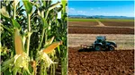 Cum vor încasa fermierii subvențiile pentru îngrășăminte de la Agenția de Plăți și Intervenție pentru Agricultură. Ce arată un nou proiect
