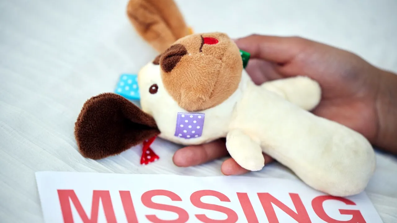 Adolescentă de 13 ani din Olt, dată DISPĂRUTĂ. A plecat de acasă și nu s-a mai întors