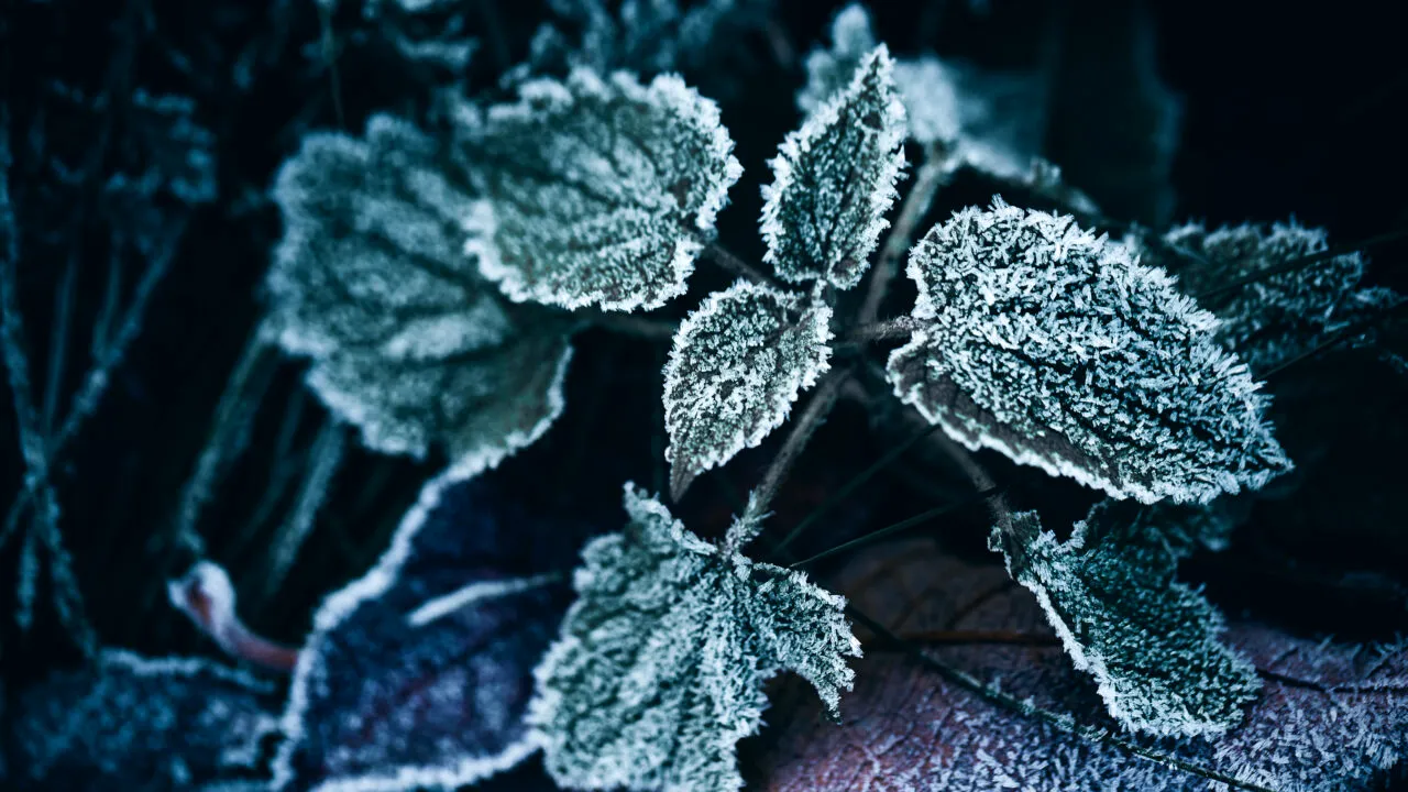 Ger și MINUS 15 grade. Meteorologii au anunțat că temperaturile vor scădea și mai mult