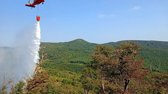 <span style='background-color: #2c4082; color: #fff; ' class='highlight text-uppercase'>VIDEO</span> Pădurea de la Svinița arde de o săptămână. MOBILIZARE uriașă pentru stingerea incendiului. Se acționează și aerian, pentru lichidarea unor focare