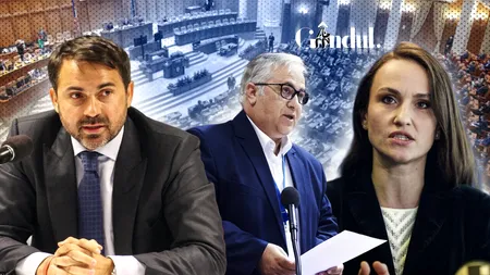 Oana Țoiu este așteptată la audieri în Comisia de Politică Externă. Cosmin Corendea, pentru Gândul: „Vrem să vedem cine a fost în acel avion”