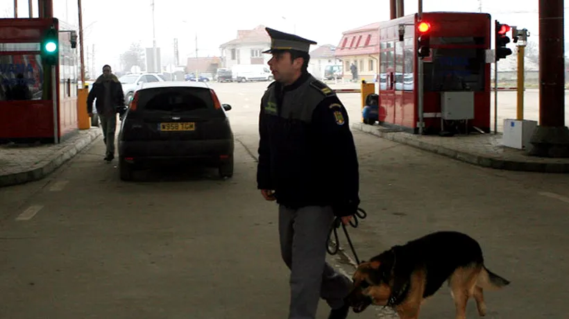 Un câine al polițiștilor din Calafat a găsit peste 7,7 kilograme de cannabis într-o mașină