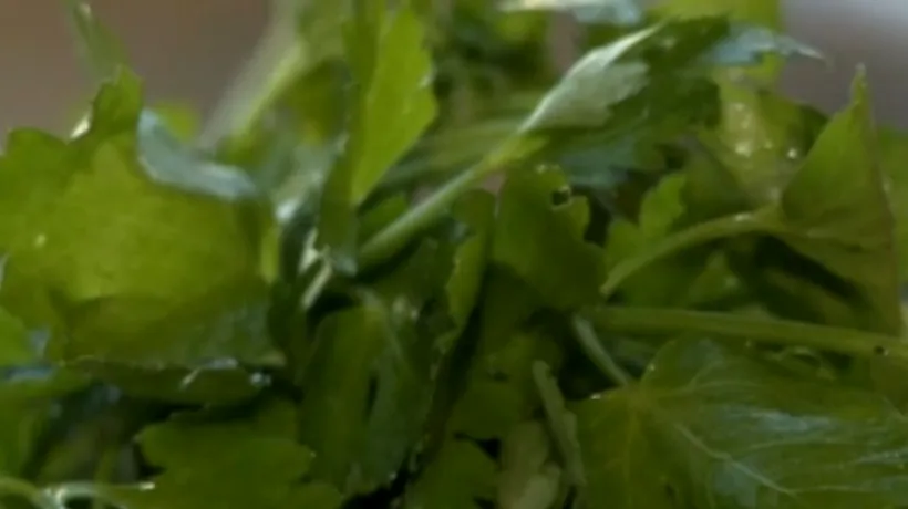Pătrunjelul, o opțiune bună pentru sezonul rece. Cum se face salata de pătrunjel. VIDEO